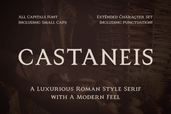Castaneis: The Roman-Inspired Serif Bridging History and Modern Luxury