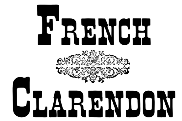Rediscovering Elegance: The Timeless Appeal of French Clarendon